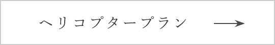 ヘリコプタープラン